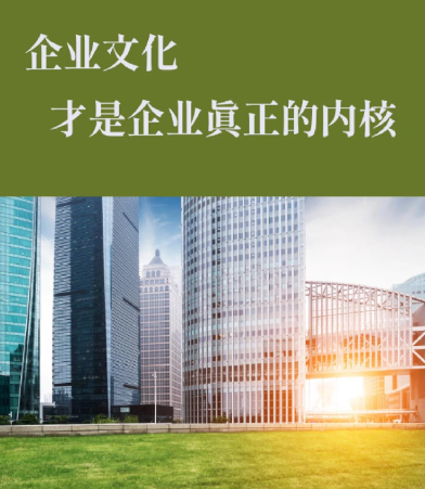 中山企业网站建设与模板建站的技术差异及适用场景分析